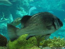 美丽的海底世界视频,揭秘绚烂海洋奇观